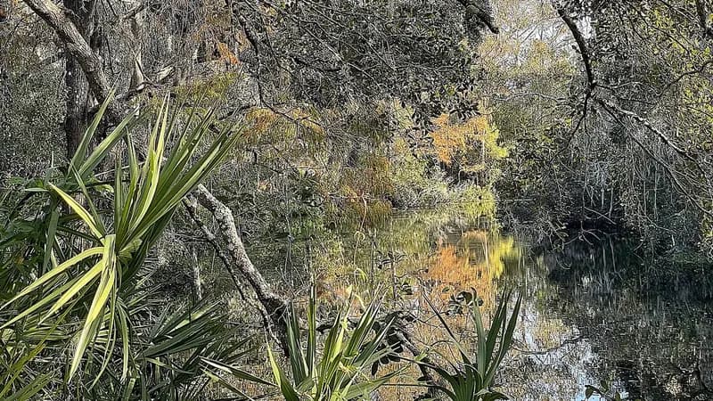 East Lake, Florida — neighborhood and community scene